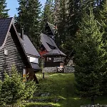 Chalet Viva Vlasic - I Vikendica *