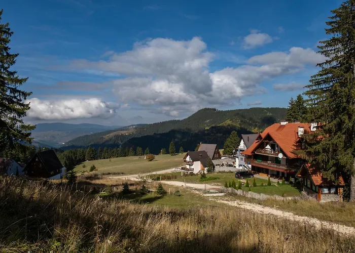 Viva Vlasic - I Vikendica Sisava