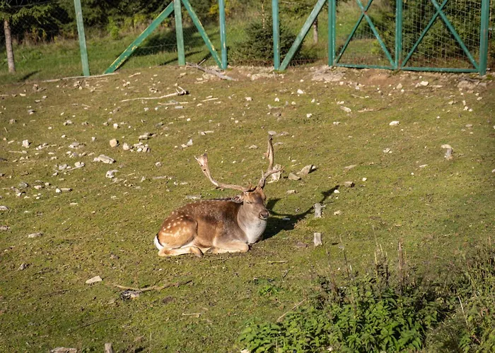 Chalet Viva Vlasic - I Vikendica Sisava